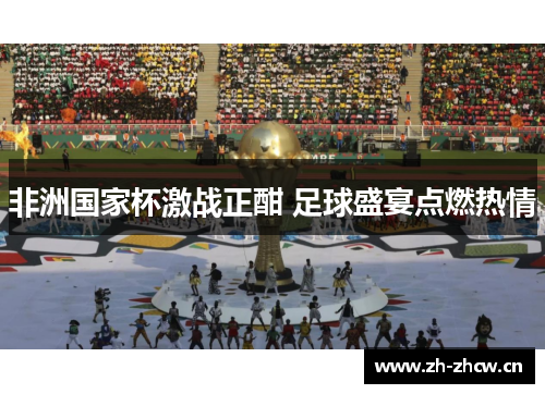 非洲国家杯激战正酣 足球盛宴点燃热情